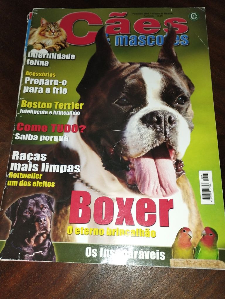 Revistas cães mascotes