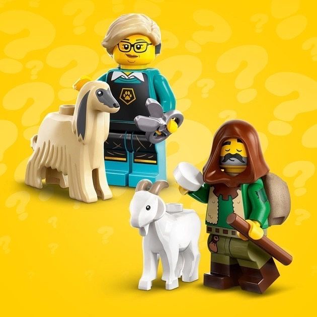 Конструктор LEGO Мініфігурки — серія 25 (71045) лего