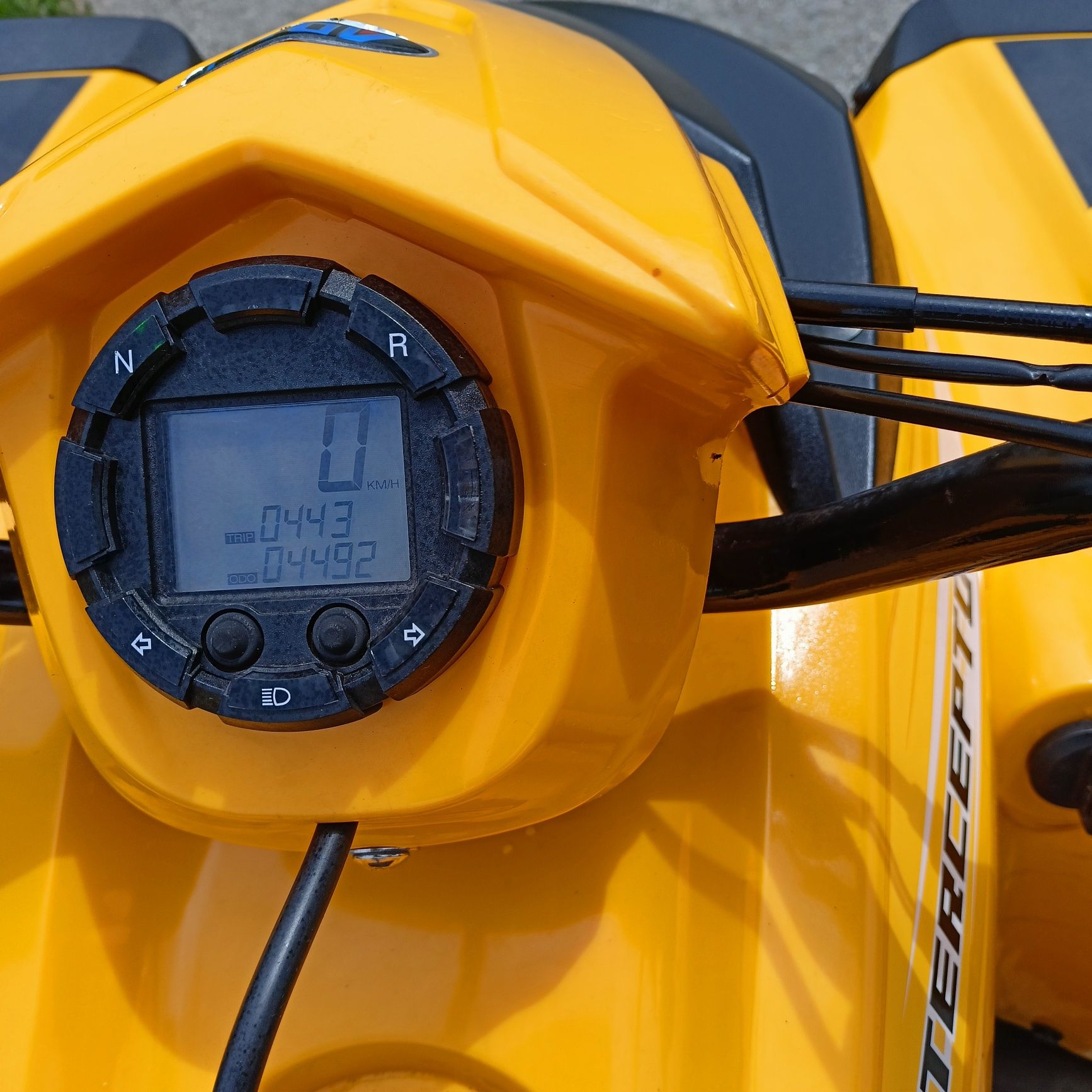 Quad adly interceptor 300