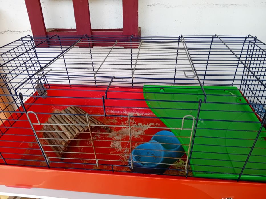 Gaiola para roedores grandes