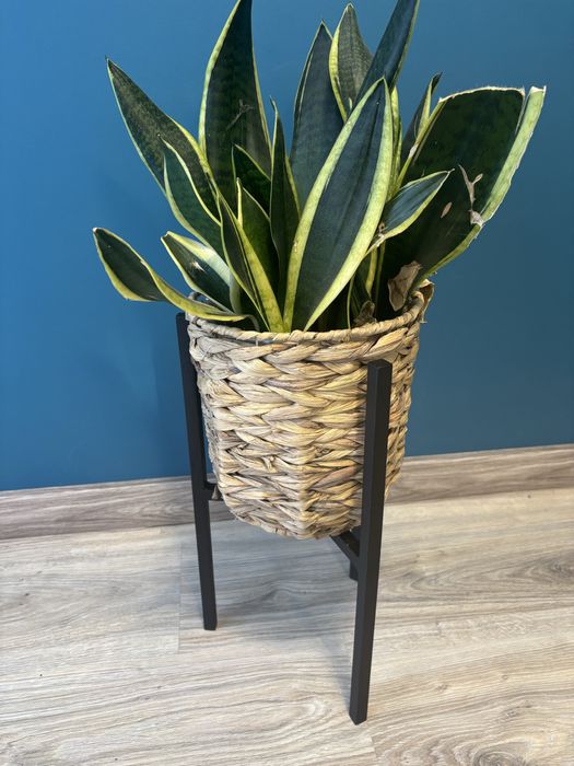 Stojak kwietnik wysokosc 40 cm