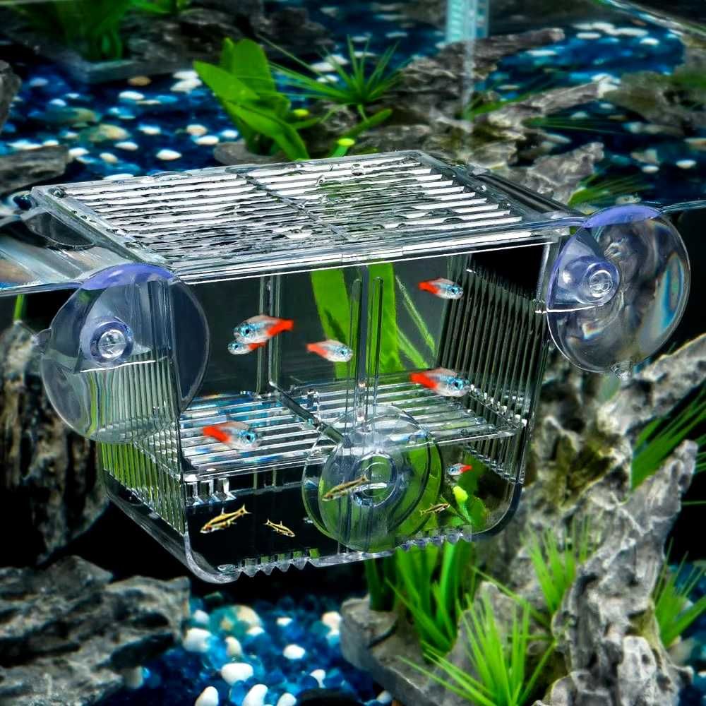Caixa isolamento peixes aquário peixes bebes incubadora NOVO