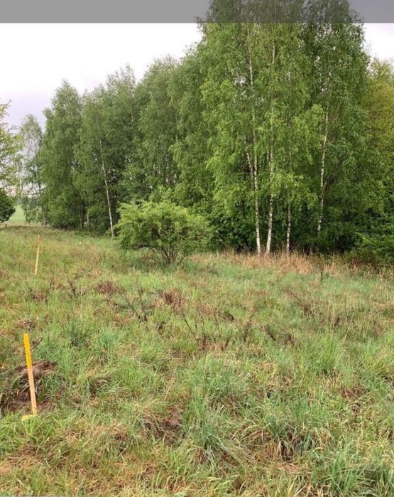 Działka budowlana nad jeziorem Sarcze