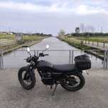 Vendo mota MUTT Fat Sabbath 125