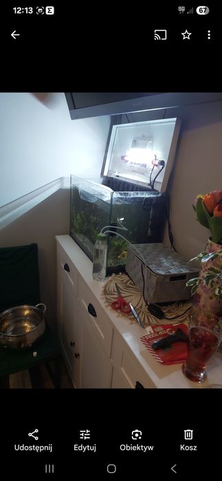 Akwarium Zestaw aquel day and night 72l