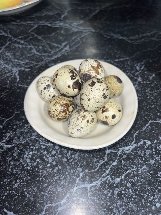 Перепелині домашні яйця 2.50 грн