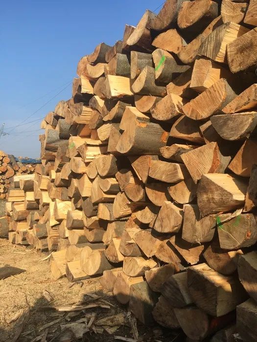 PROMOCJA!GRAB buk DĄB darmowy dowoz okazja