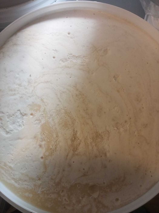 Miód w wiaderku 16kg