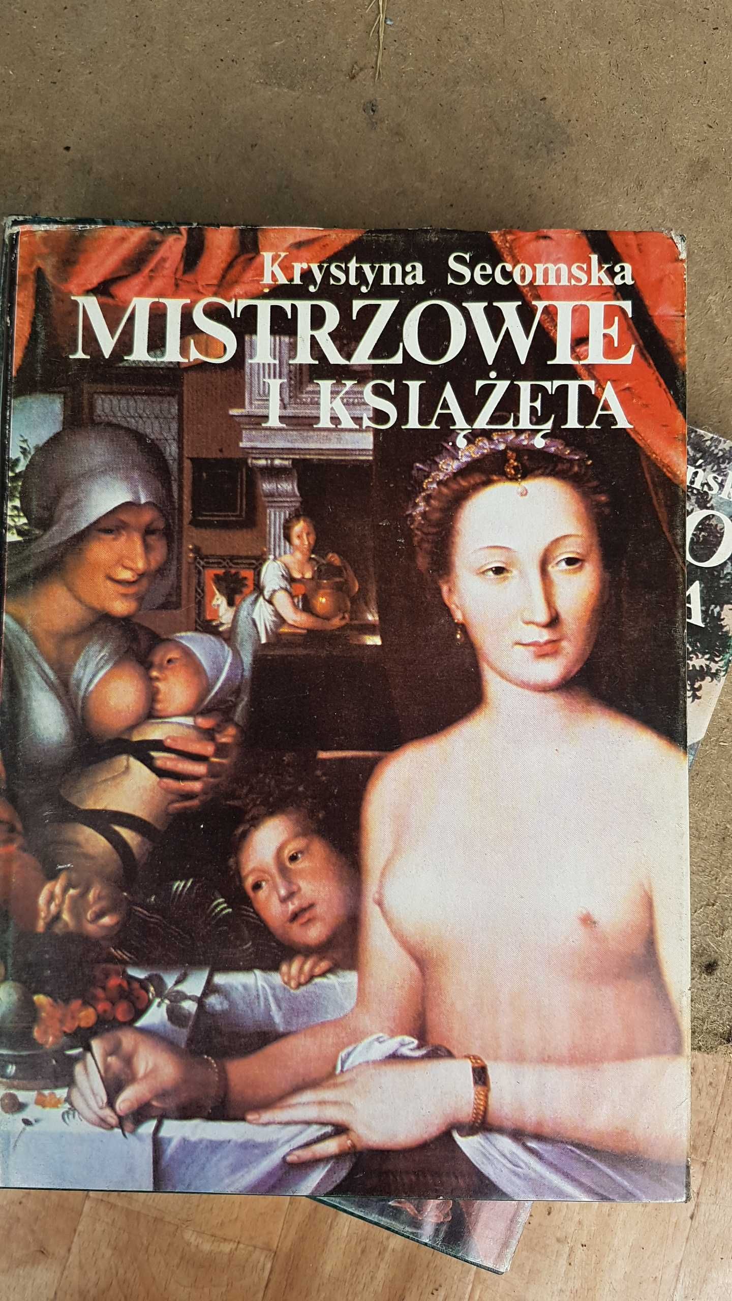 mistrzowie i książęta krystyna secomska malarstwo francuskie