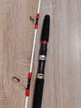Cana de Pesca Daiwa Saltist Deep Action