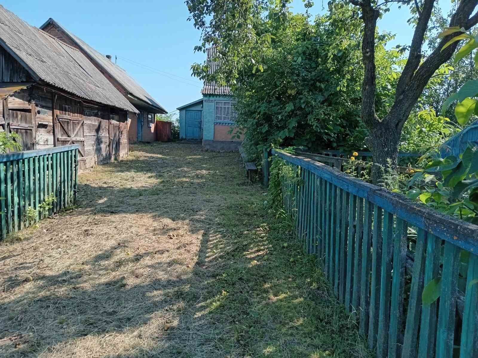 Продам цегляний будинок в селі Небіж Житомирської області