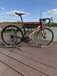 Focus izalco max rozmiar 54