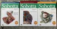Atlas anatomii Sobotta 1-3 tomy Stan bardzo dobry