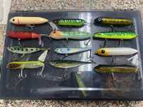 Lote de amostras - Pesca ao Achigã