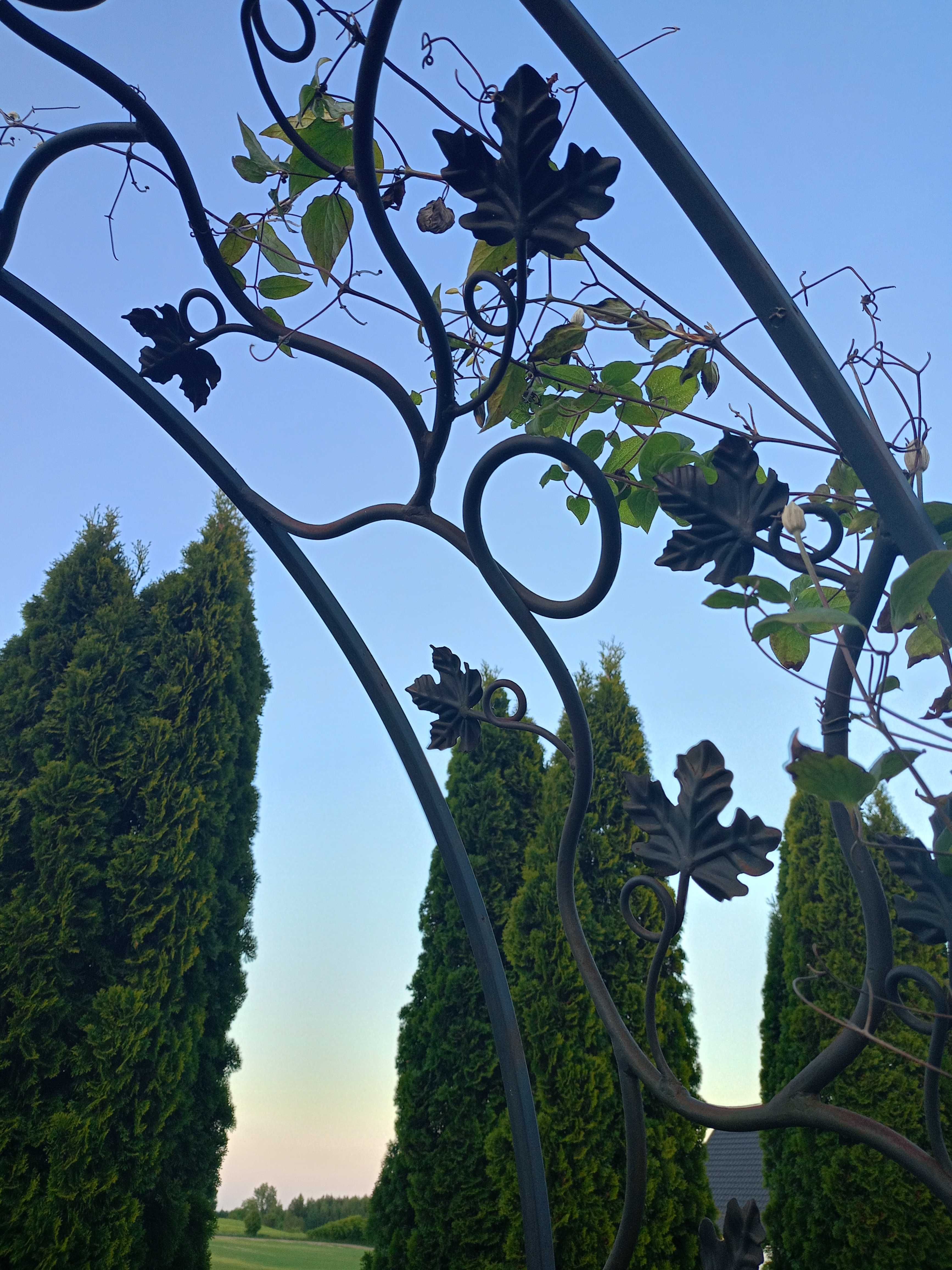Pergola metalowa kuta do kwiatów