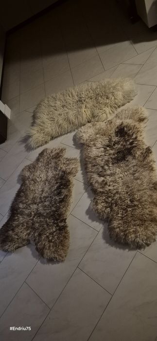 DYWAN Owcza Skóra