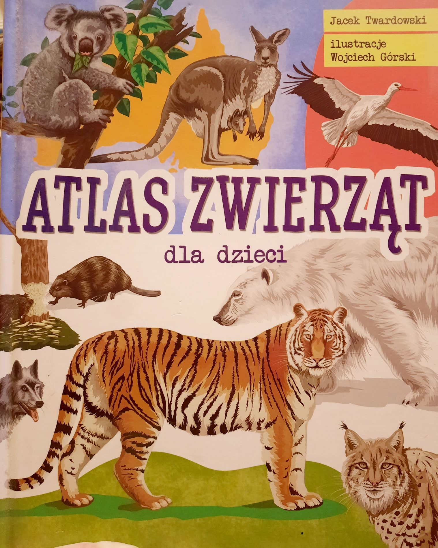 Atlas zwierzat dla dzieci Jacek Twardowski