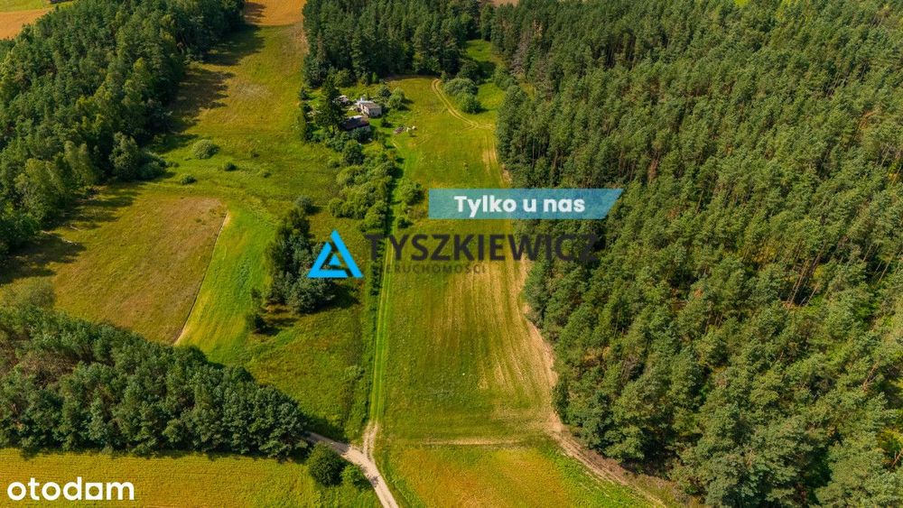 Działka w Kramarzynach, gmina Tuchomie.