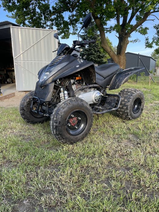Quad dinli 300 Homlogacja