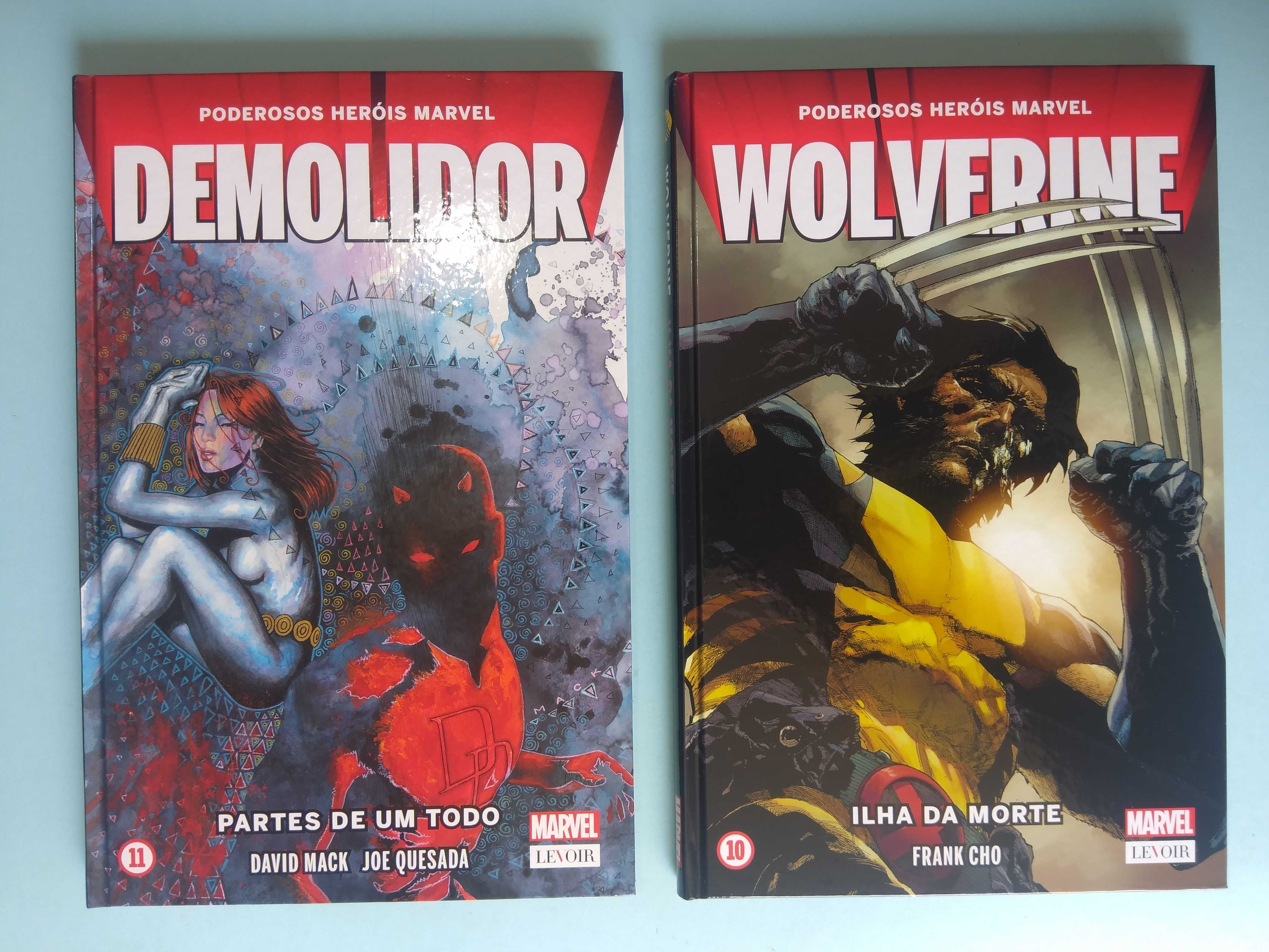 PODEROSOS HERÓIS MARVEL - Completa 15 volumes Ed. Levoir