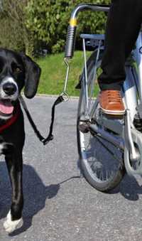 TRIXIE - smycz dla psa do roweru, Biker Set.