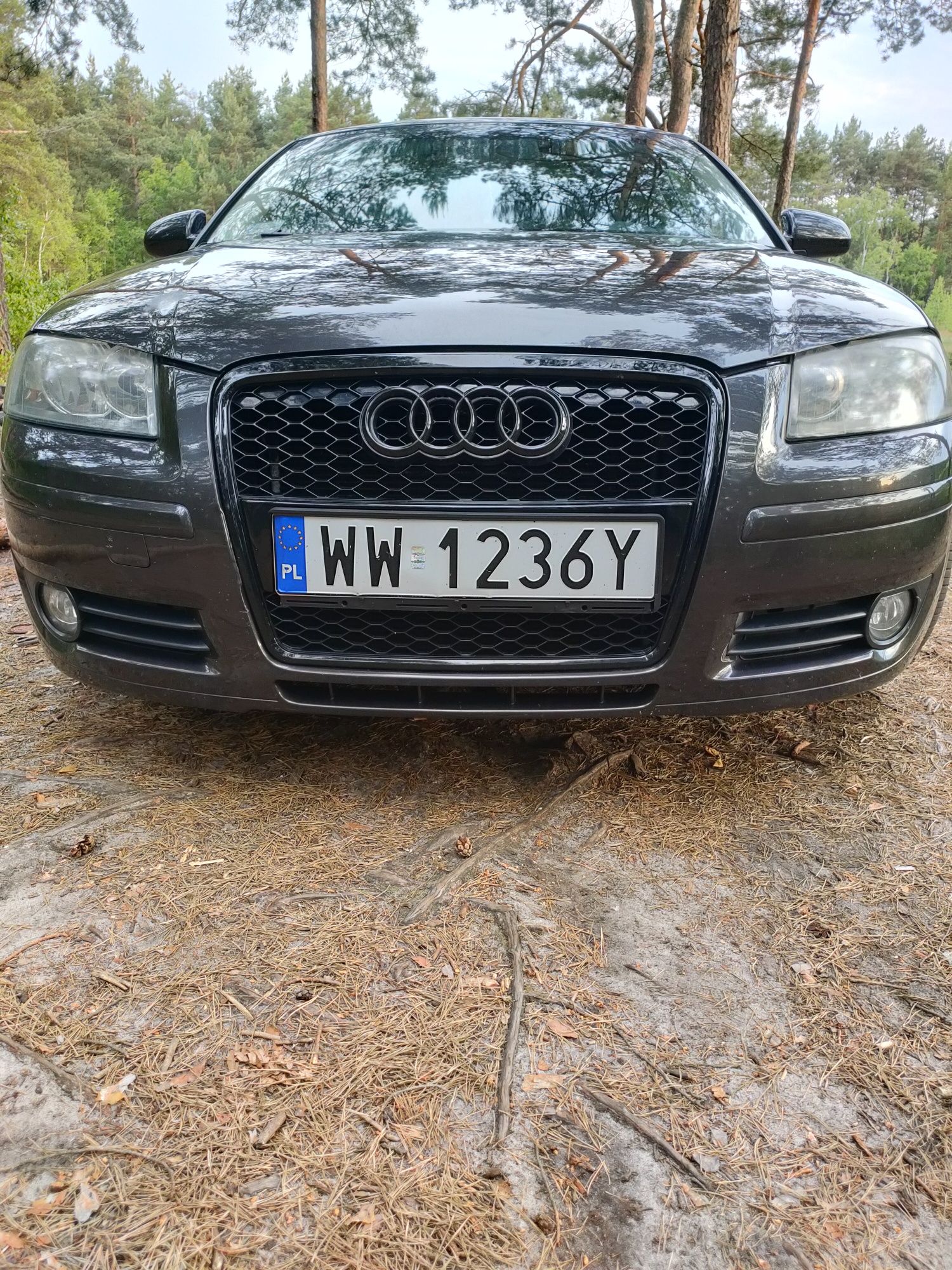 Audi a3 8p 2.0fsi