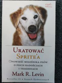 Uratowac Sprite'a