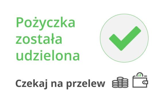Szybkie Pożyczki Online – Bez zbędnych formalności!