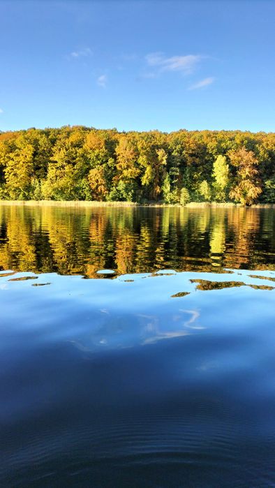 Domek nad jeziorem-Porost Apartament pod Dębem 42 m kw