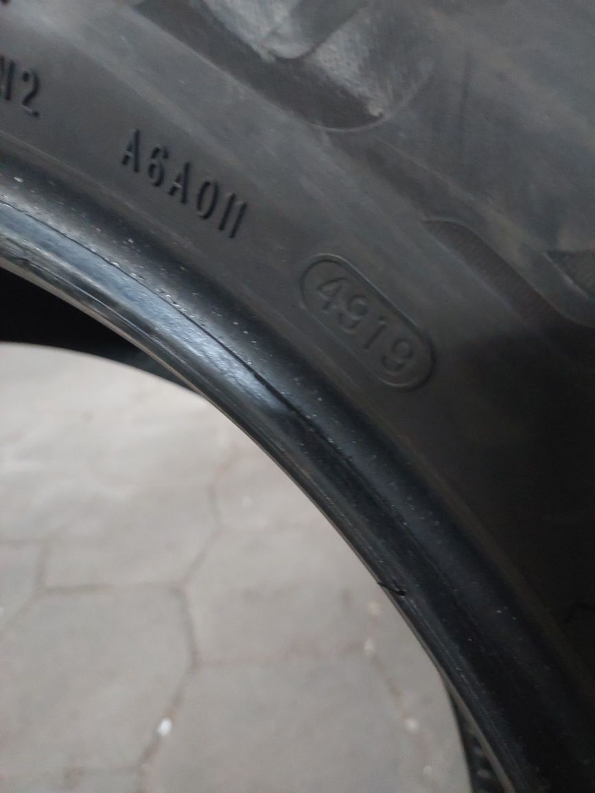 Шини 245/50 R19 пара літо Bridgestone 6.9мм 2019 рік