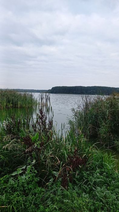 Продам недобудову а Тетерівці