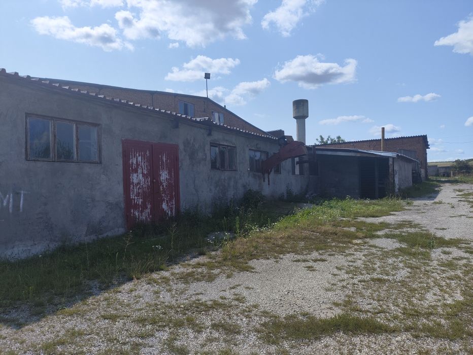 Оренда забійно-холодильного комплекса