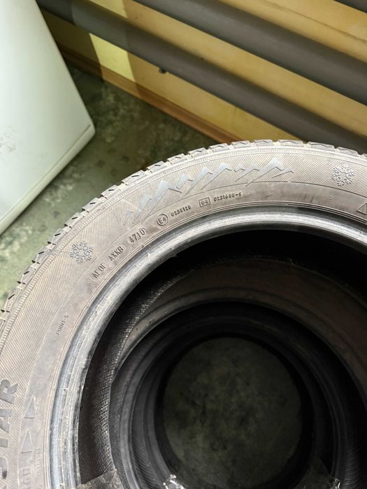 Резина PointS WinterStar 205/55/R16 Зима Пара Z16-099