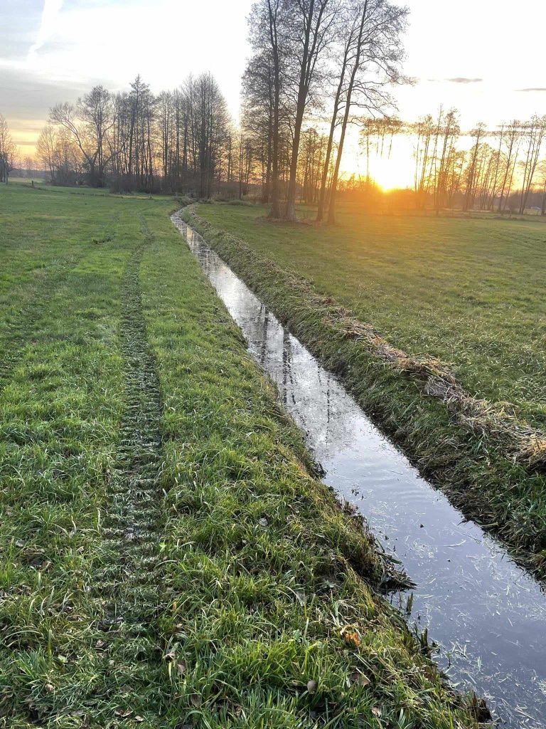 Koszenie i odmulanie rowów melioracyjnych