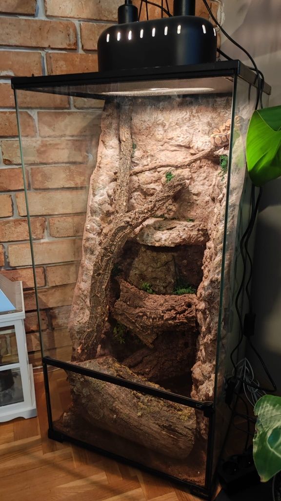 Terrarium szklane IG REPTI z wyposażeniem dla kameleona , gekona  itp