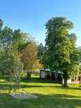 Domek Bocian,balia, sauna, kominek, taras,Poleski Park Narodowy