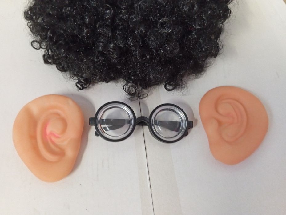 Acessórios de Carnaval Cientísta Médico Professor Escritor