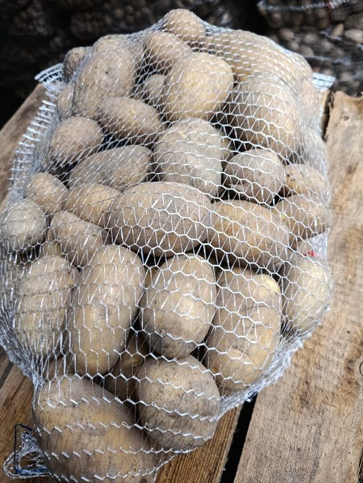 Ziemniaki Queen Anna Ricardo