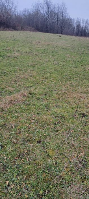 Продається будинок