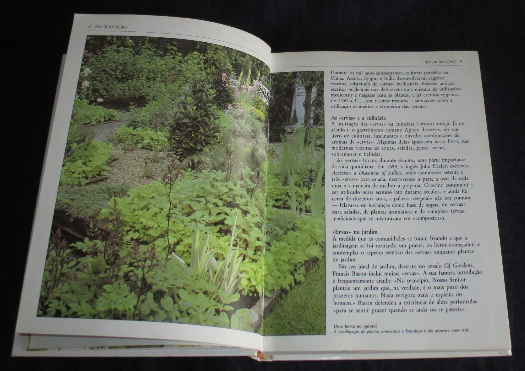 Livro Guia Prático Plantas Aromáticas Lesley Bremness