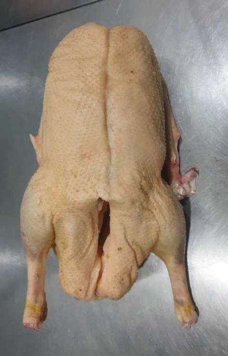 Мясо гусей легард.