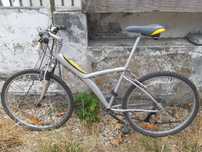 Bicicletas de adulto