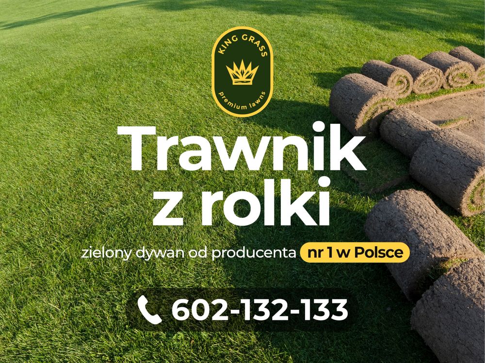 Trawnik z rolki PLANTACJA POZNAŃ / trawa w rolce/ trawa/ plantacja