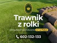 Trawnik z rolki ogrodowo sportowy/ trawa w rolce/ trawa/ plantacja