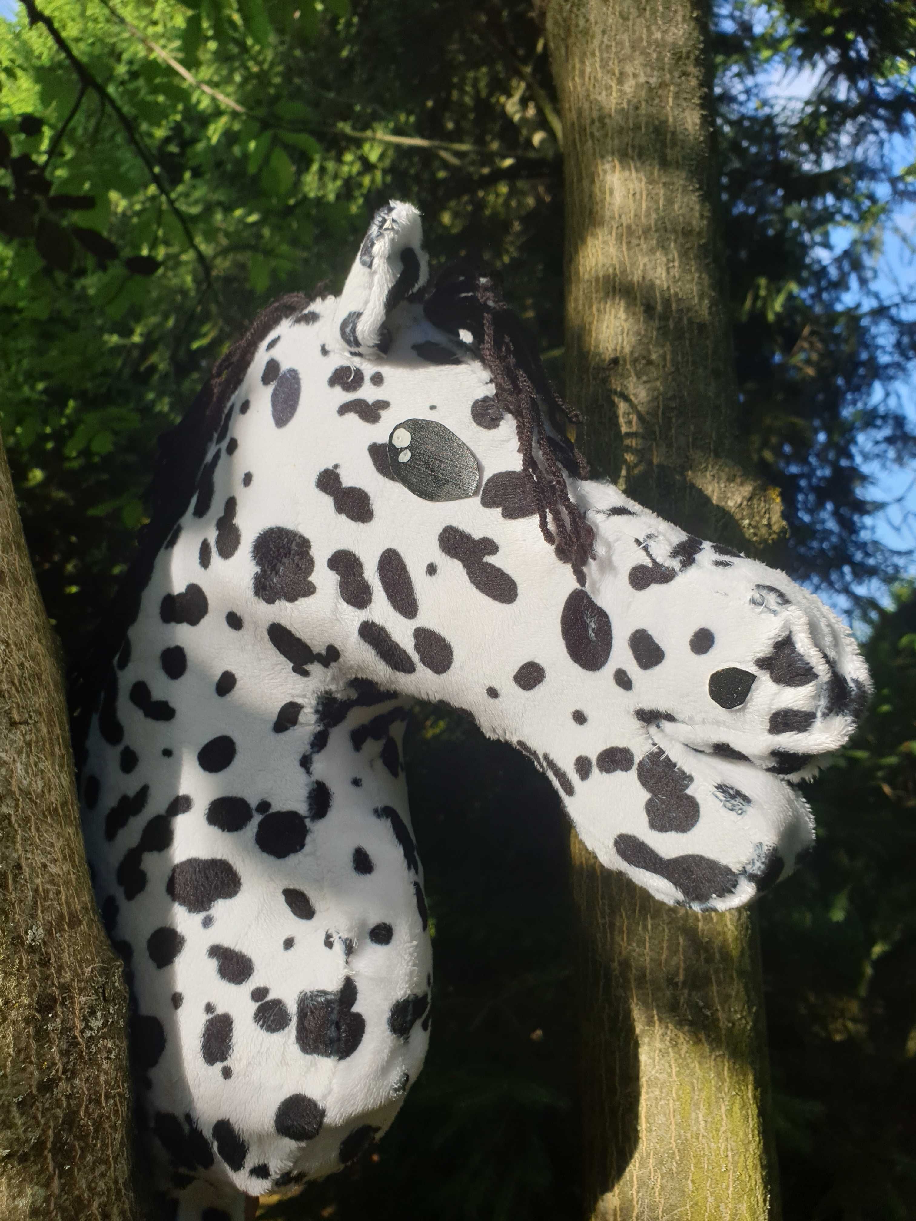 Hobby Horse tarantowaty A3