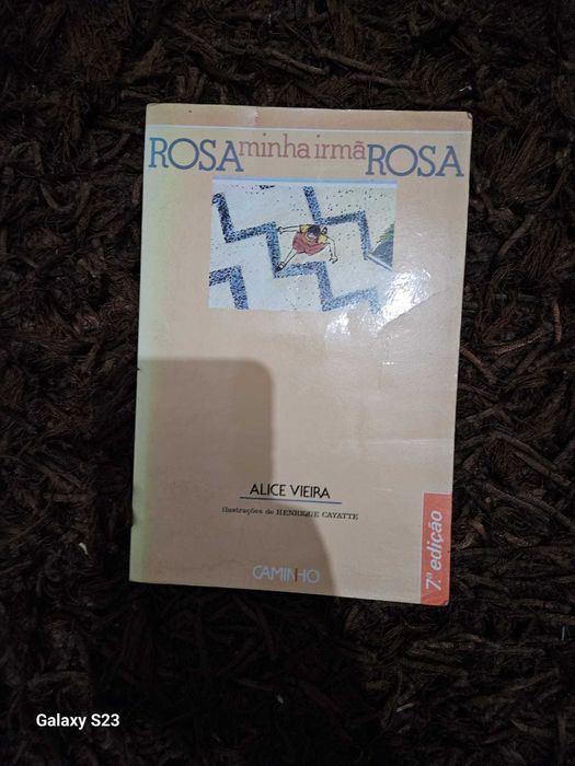 Livro Rosa, Minha Irmã Rosa, 7a Edição