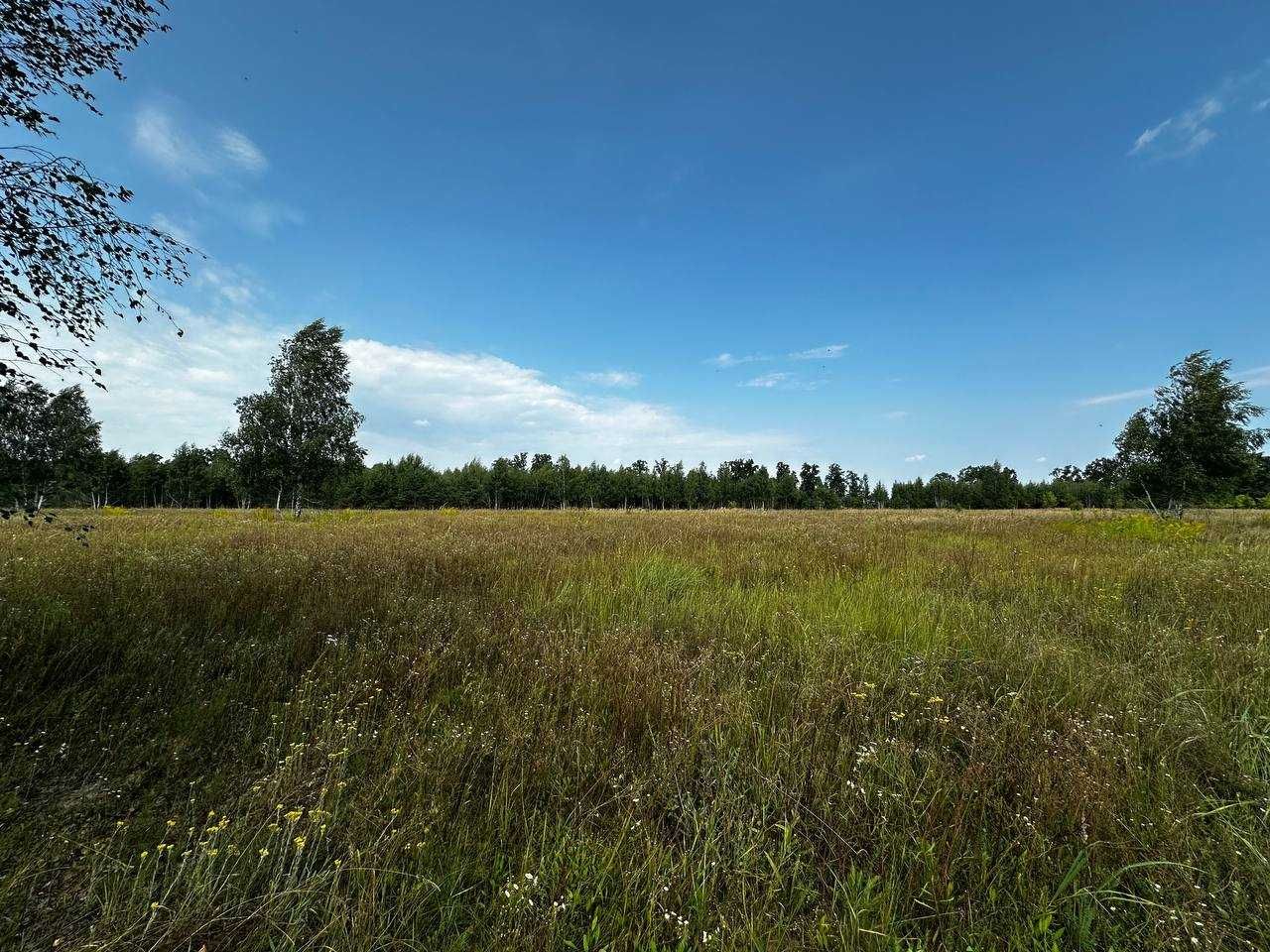 Продаж ділянки 201 сотка (ОСГ). Біля лісу. Озеро - 1км. ID:735