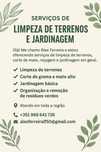 Limpeza de terrenos