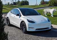 2021 Tesla model Y performance