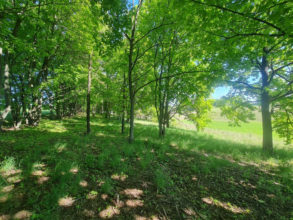 Продаж 14га землі, мальовнича Балка Хорватка, Кулибаба, 32км від Києва